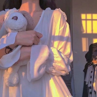 朕的刺客女友 海报